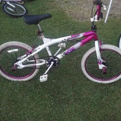 $25 20in Girls Bike 