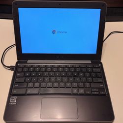 Asus Rugged Chromebook C203X