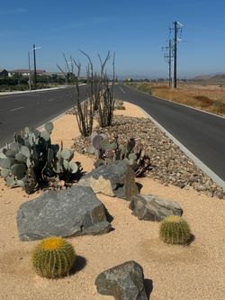Legado Landscape