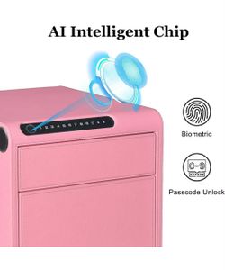 Biometric Fingerprint jewelry safe, new