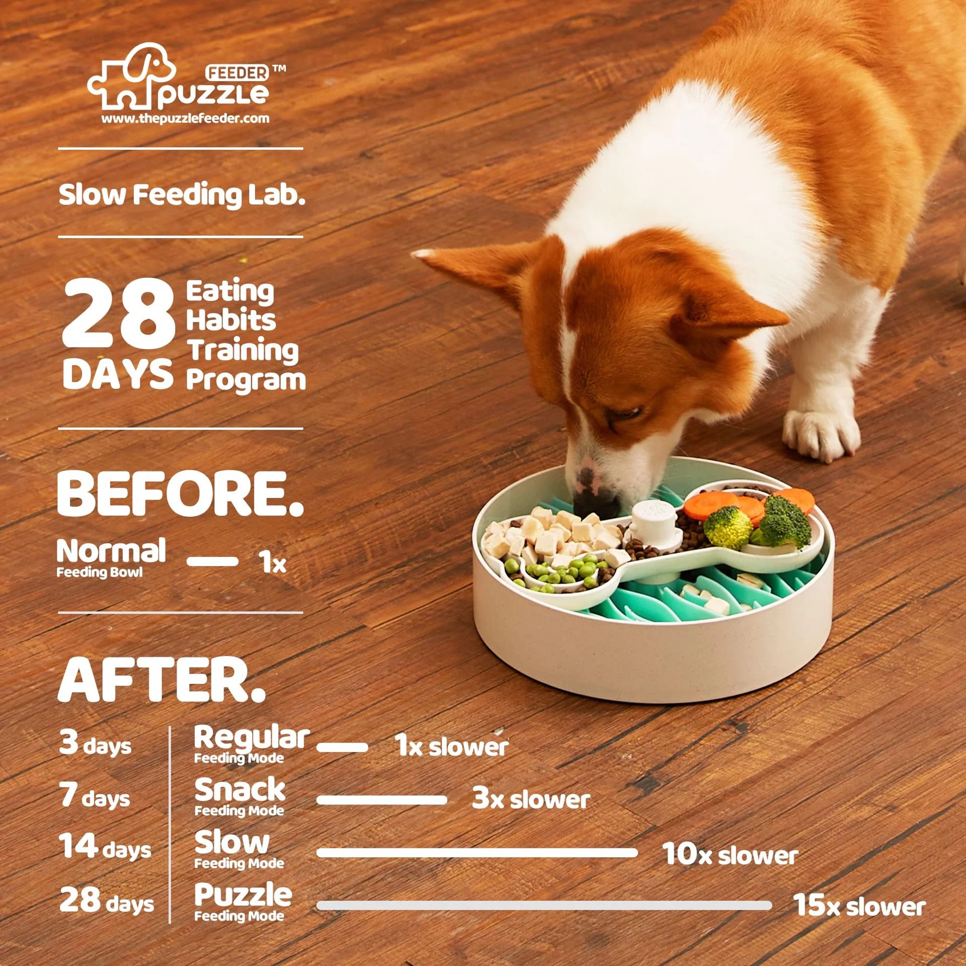 Slow Puzzle Feeder For Dogs