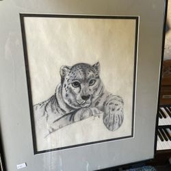 Snow Leopard Drawing