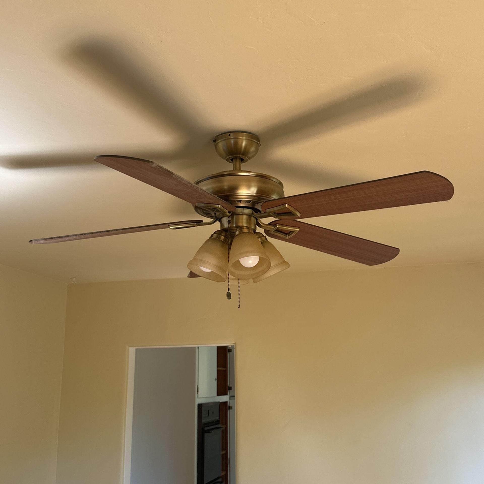 Ceiling Fan