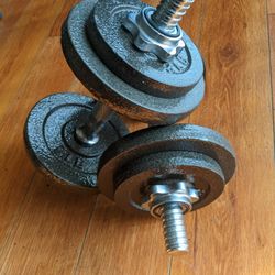 40 Lb Iron Adjustable Dumbbells 