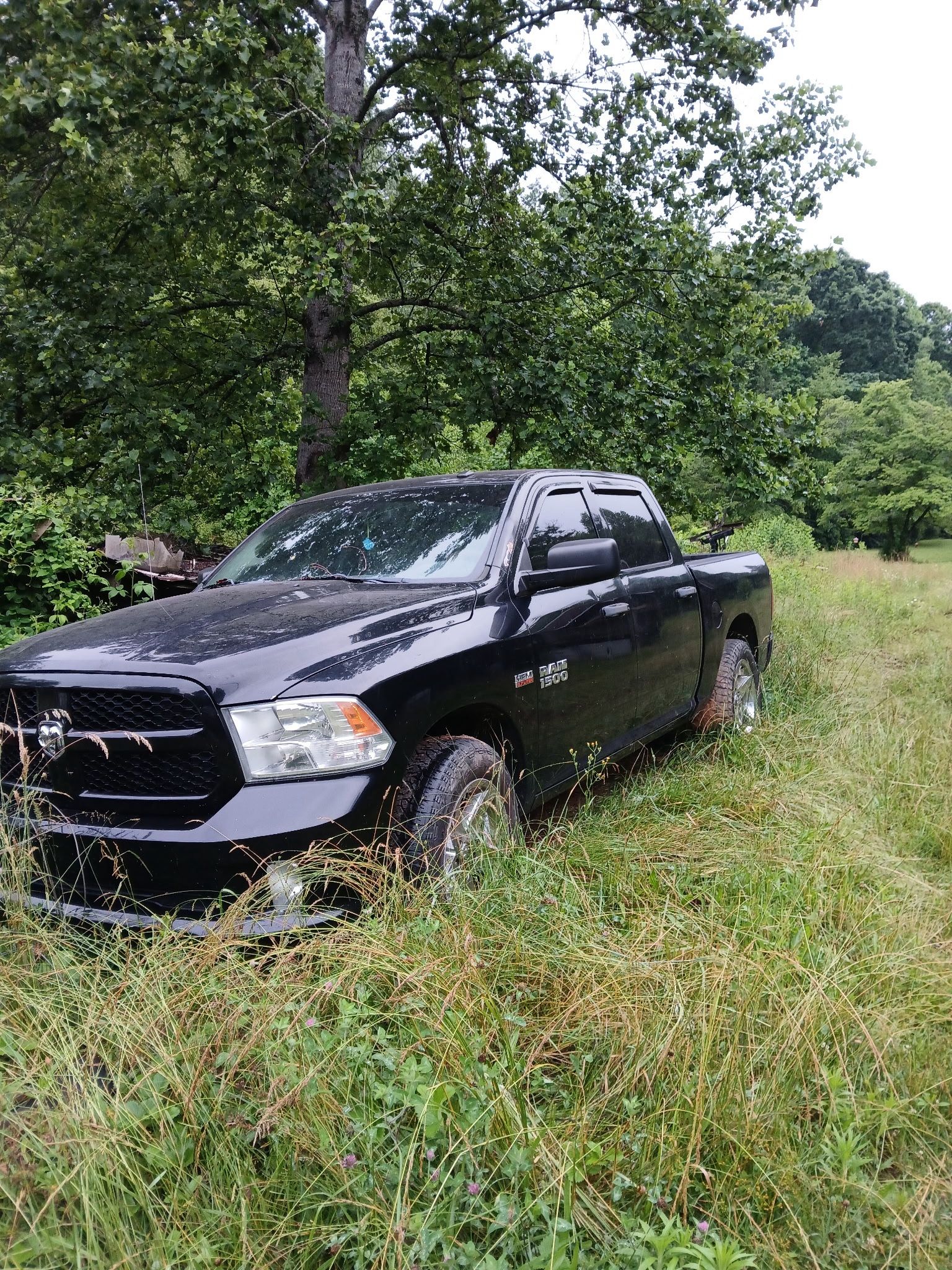 2014 Dodge Ram