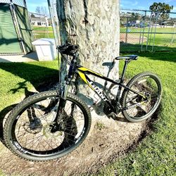 GIANT Mountain Bike  XS 