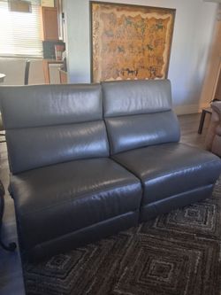 2 Couch chairs