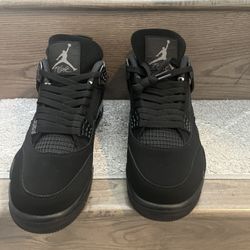 Black Cats 
