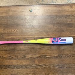Easton THE DUB Double Barrel 2 3/4” USSSA Bat 31/26 (-5)