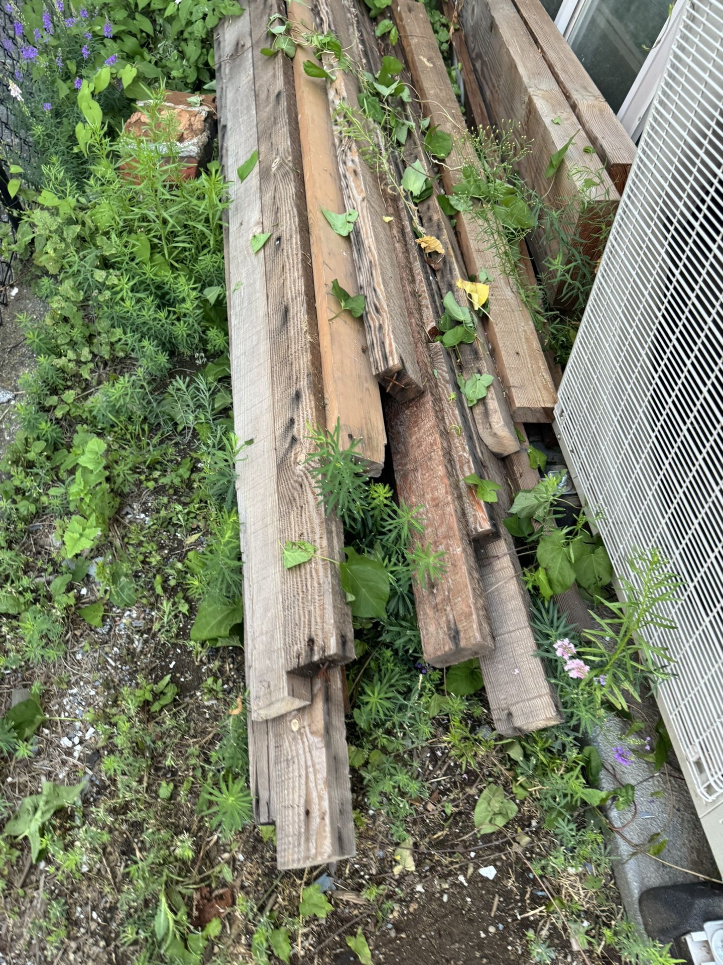 Old Growth wood