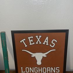 Texas Longhorn Frame 