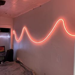Govee Neon Rope light 2