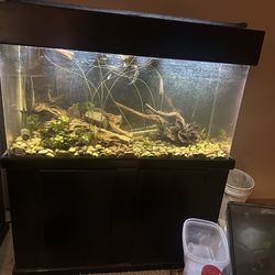 Acrylic aquariums