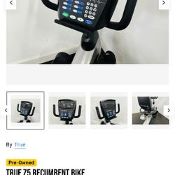 True Z 5.1 Recumbent Bike Used 