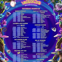 Saturday VIP TO BEYOND