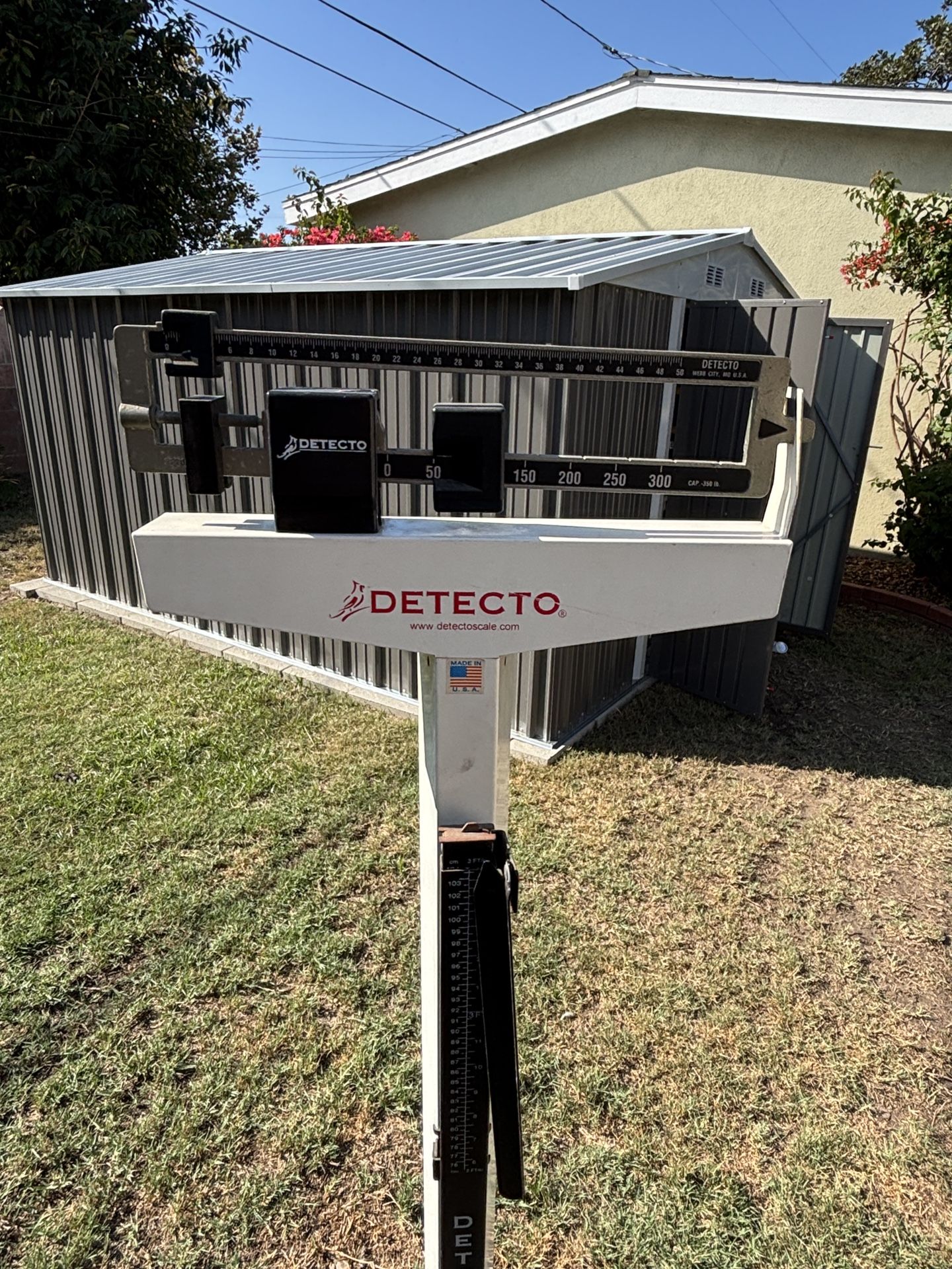 Detecto Physician Weight Scale