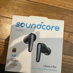 Ear Buds 