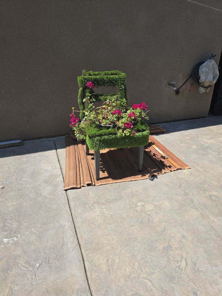 Garden Chair W/real Plant