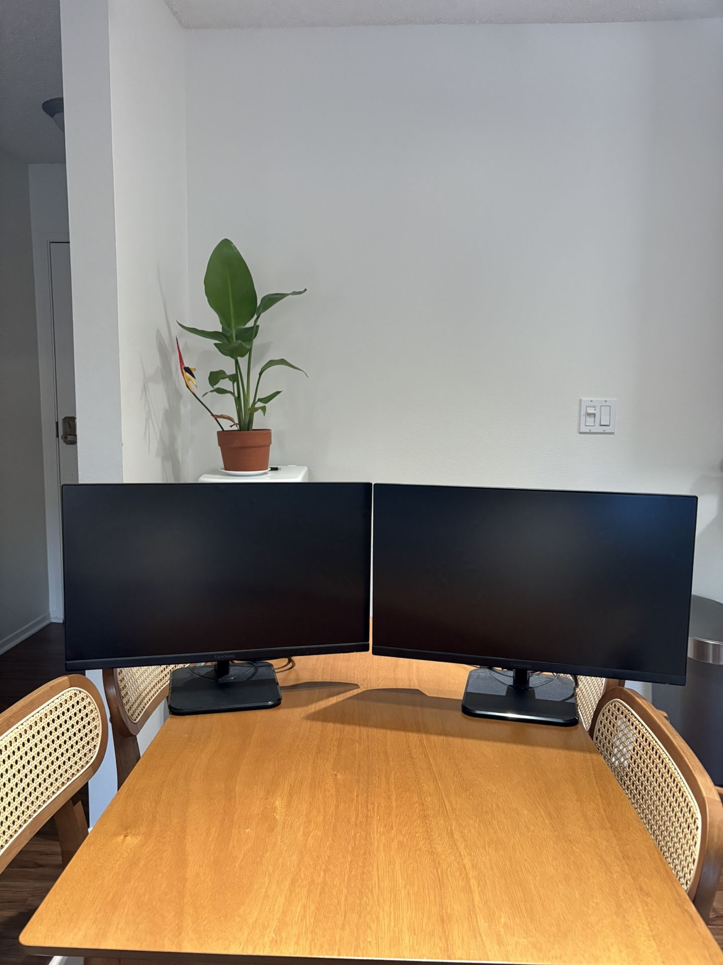 24 Inch Monitor ViewSonic