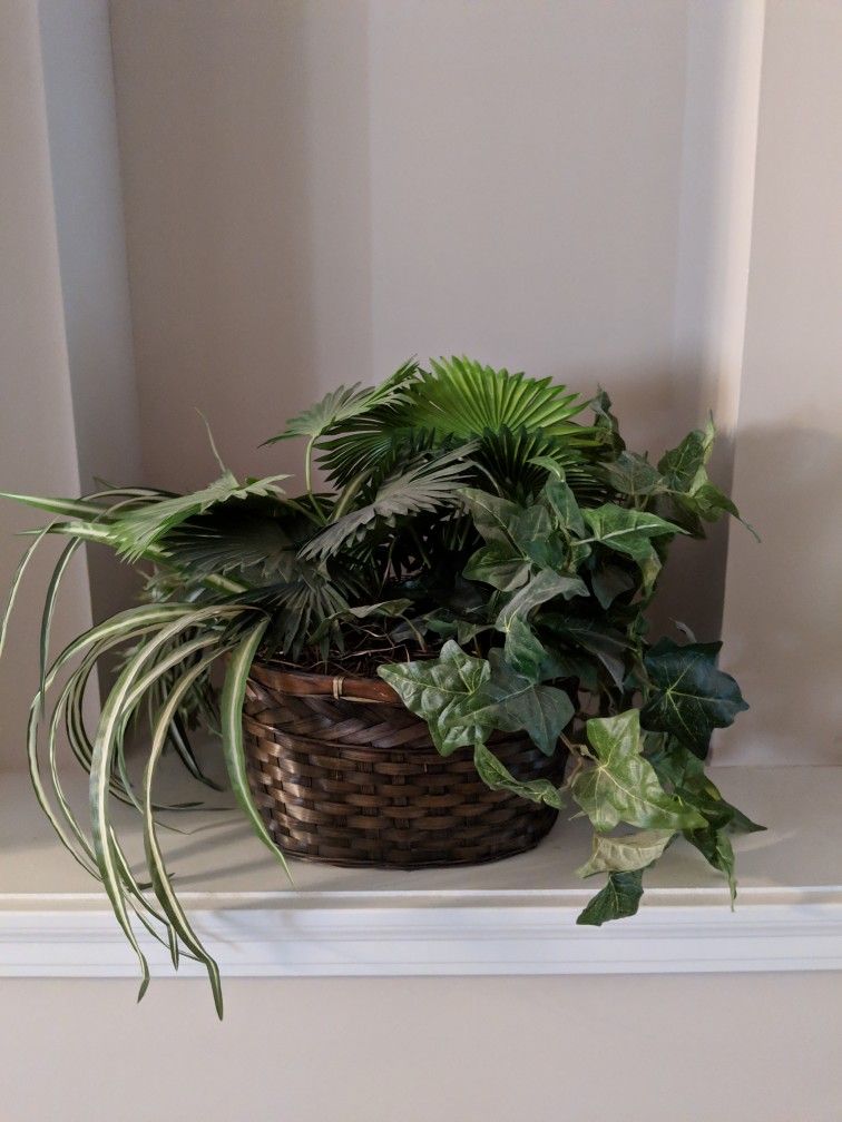 Plants In Rattan Planter, Faux