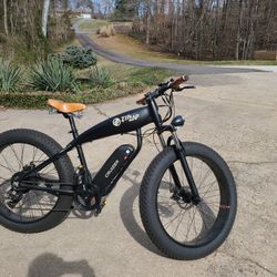 Electric Bike