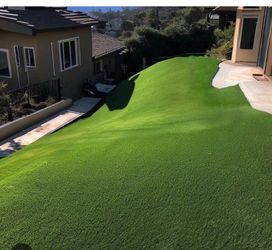 Article Grass/turf