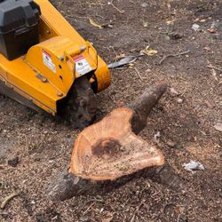 Stumps Grinding Molemos Troncos Y Raises 