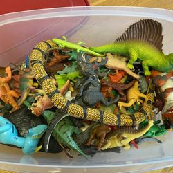 Lot Of dinosaurs
