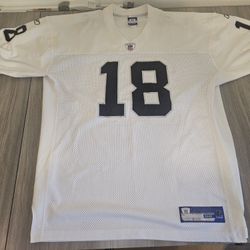 🏈 Randy Moss Raiders Jersey – Authentic NFL Gear! Excellent Condition 