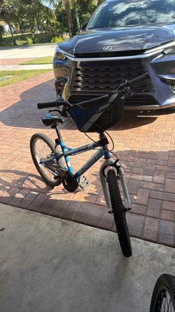 Schwinn 20 inch bike