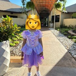 Rapunzel Princess Costume
