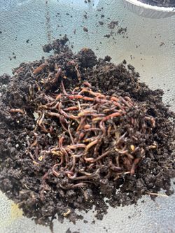 Composters