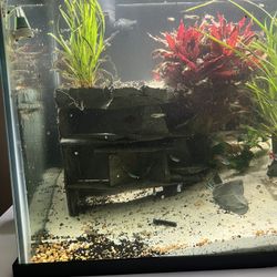 75 Gallon Fish Take Only Tank 