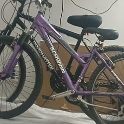 Bike 2  $80