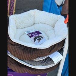 Nuevas Para Perrito Pequeño 