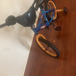 Bicycle and  Car Seat