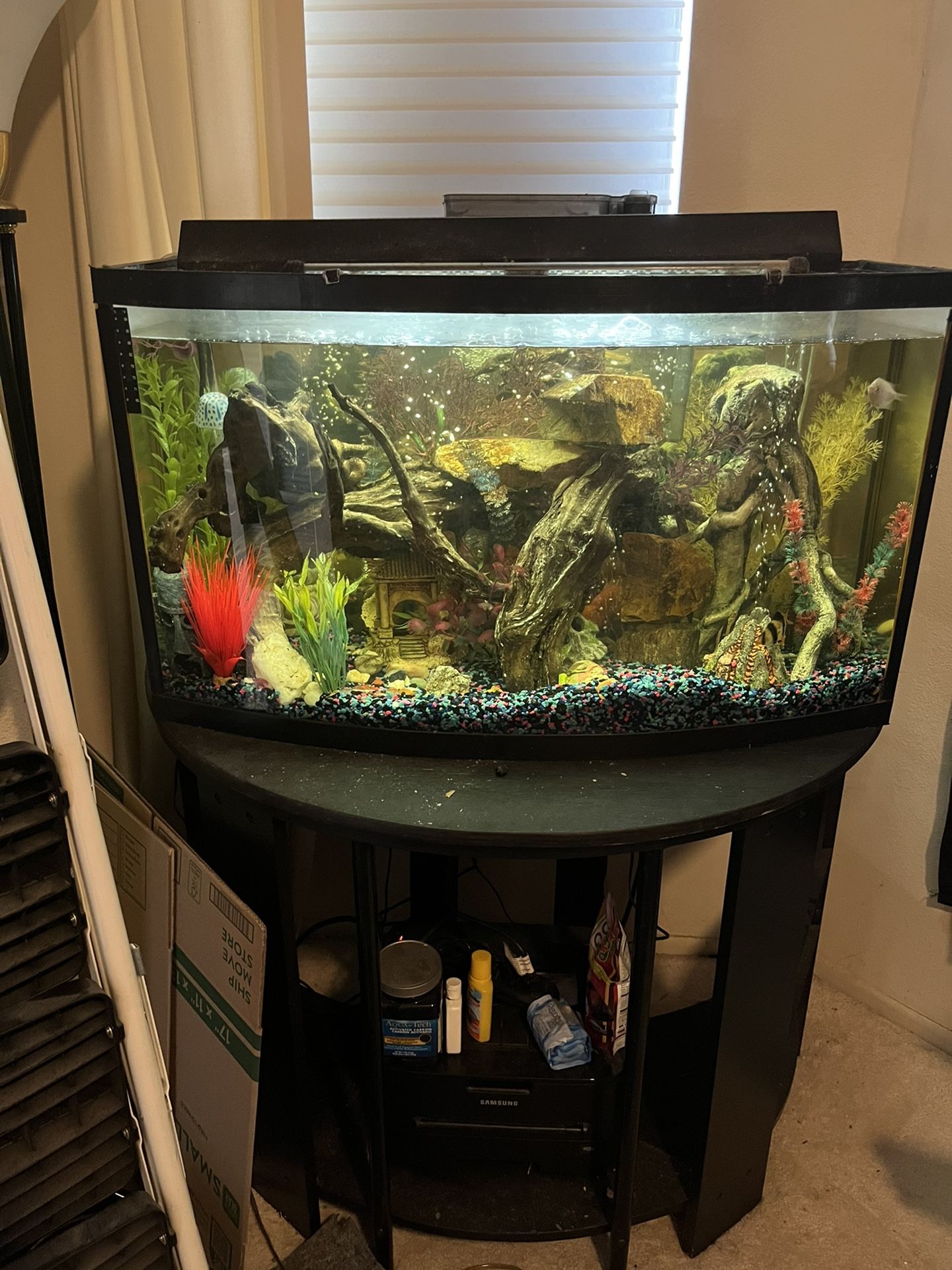 60-70 Gallon Fish Tank With 5 Beautiful Fish