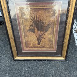 Framed Art Matted And Glass 