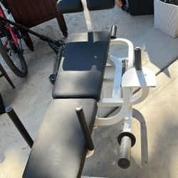 Crunch Machine. Exercise Machine Body Solid Brand.