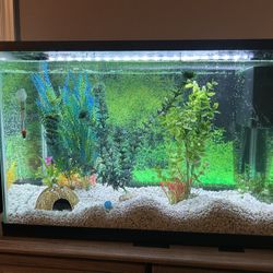 20 Gallon Starter Kit Fish Tank Includes Excellent Tank Filter.