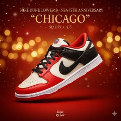 Dunk 75th NBA  Chicago..   7Y