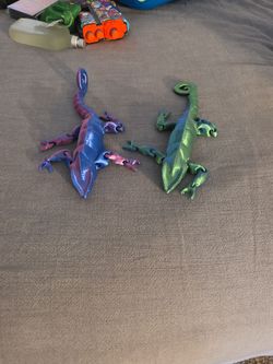 Chameleons