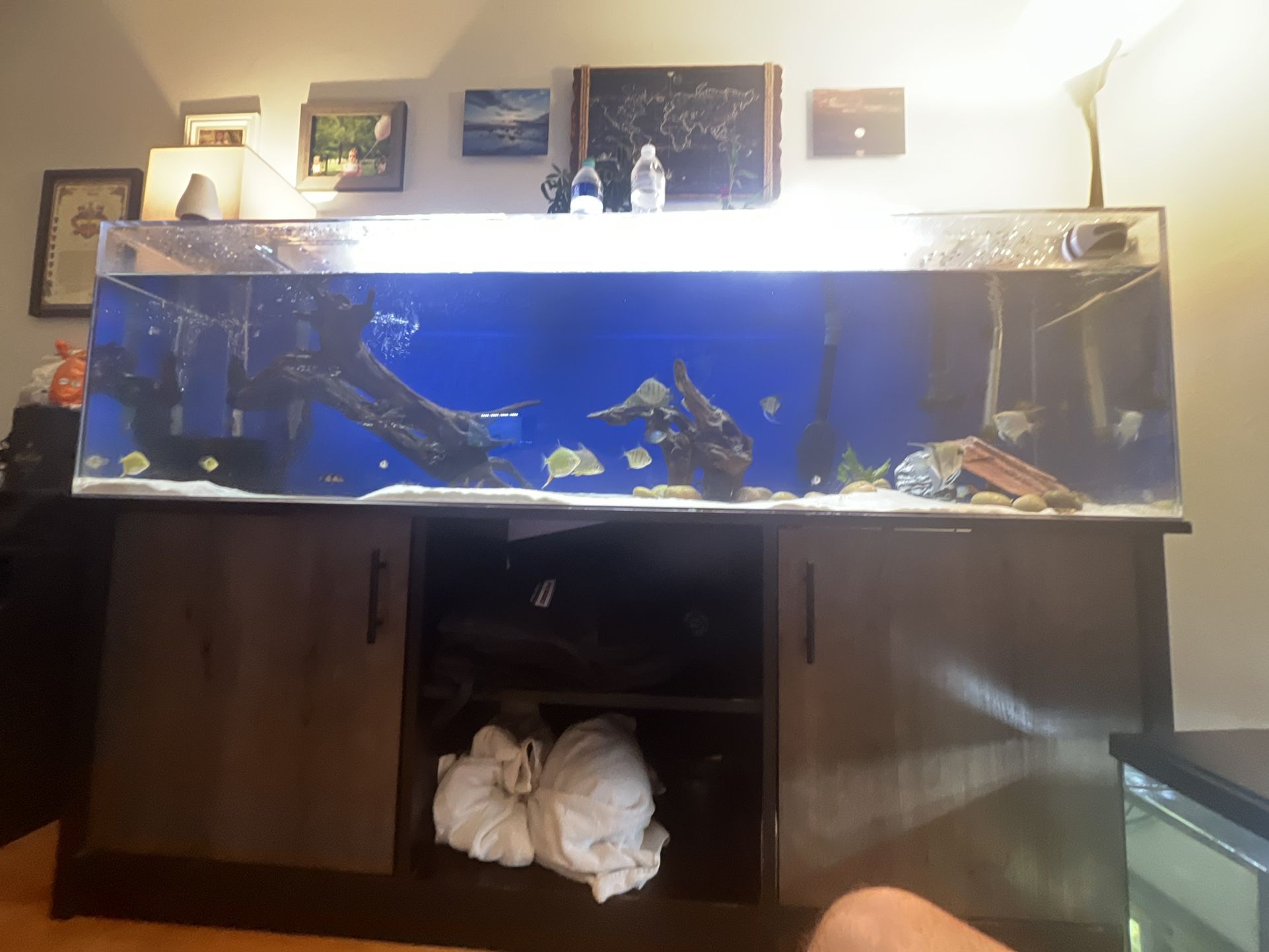 125 Gallon Clear For Life Fish Tank 