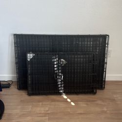 Dog Kennels 