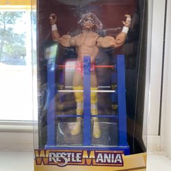 Wrestling Figure