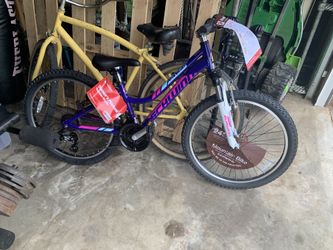 Schwinn Mountain Bike