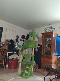 Cat tree