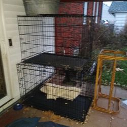 2 Dog kennels, 1 XL, 1 L, Painted 2 dr cabinet, 6 mocha wood chairs 