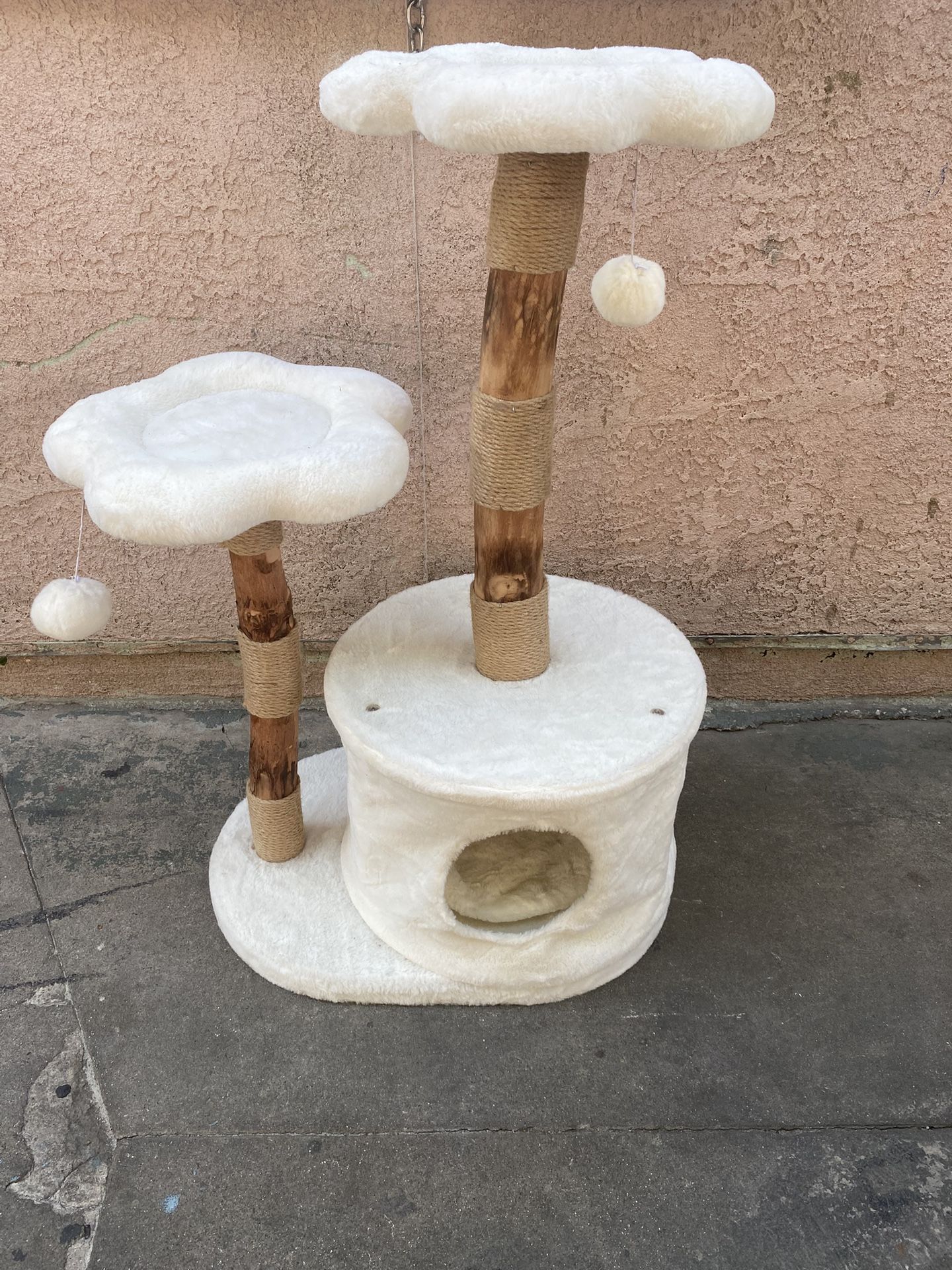 Pet Accessories