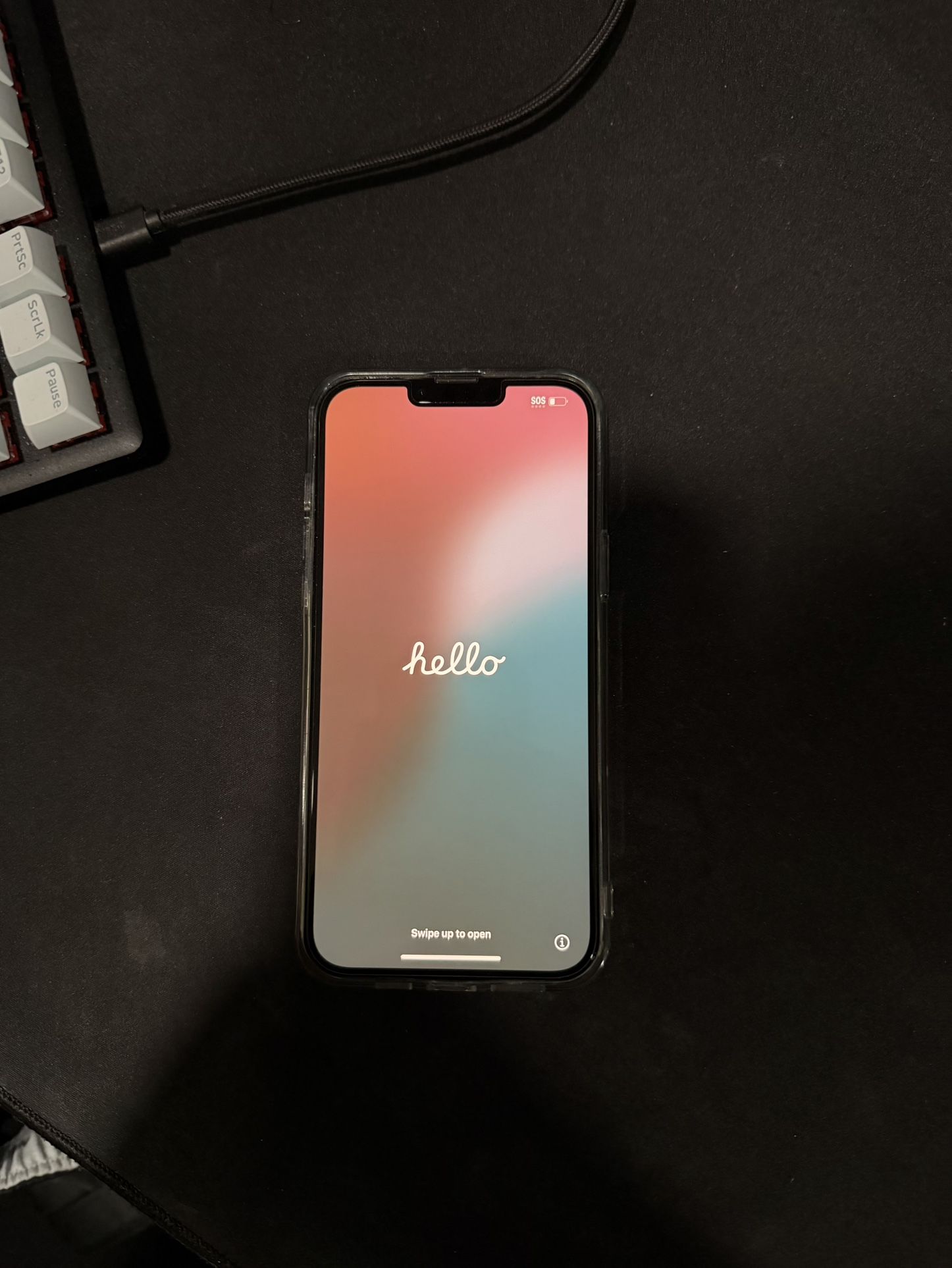 iPhone 13 Pro Max